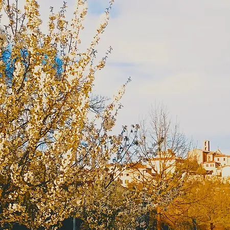 Lo Scorcio Su Homestay *